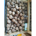Китайский Юньнань Профессиональная фабрика поставки сельскохозяйственной продукции сушеные сырые небеленые грецкие орехи в скорлупе